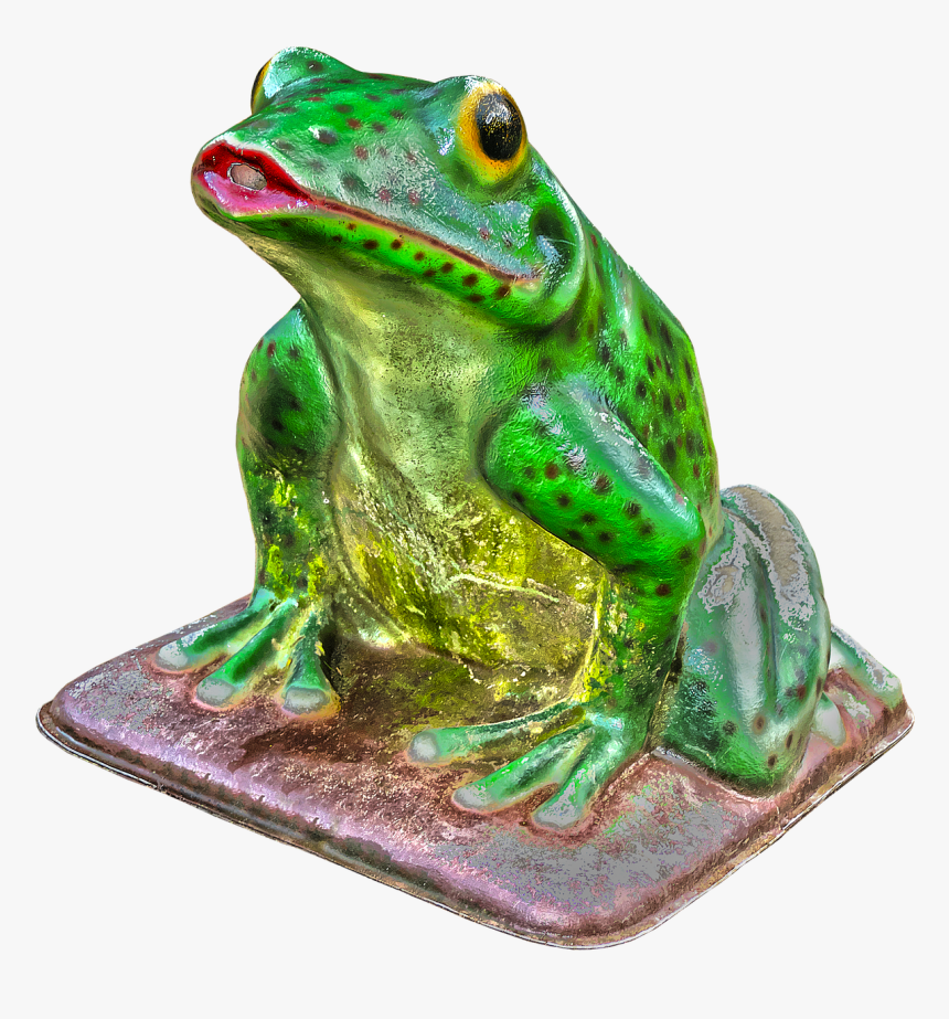Frog Green Figure Free Picture - Green-eyed Tree Frog, HD Png Download