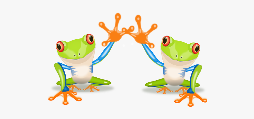 Frog Sonny 555px - Clipart Costa Rica Png, Transparent Png