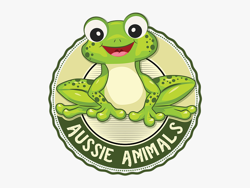 Pine Barrens Treefrog, HD Png Download