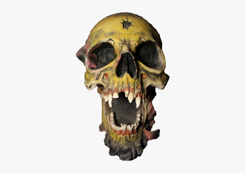 Skull, Pirate, Head, View, Bones, Scary, Creepy - Creepy Skull Png, Transparent Png
