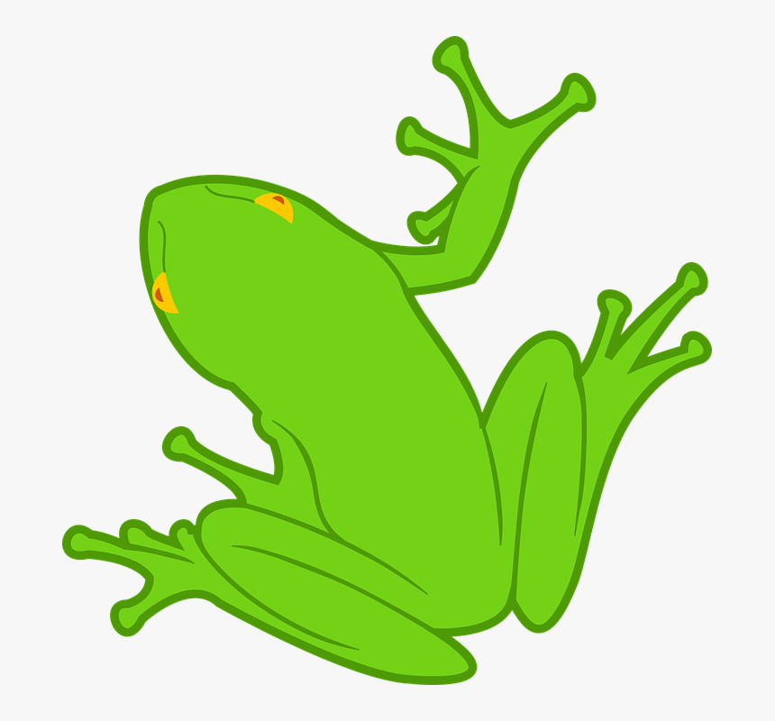 Frog Svg Clip Arts - Rana Dibujo, HD Png Download