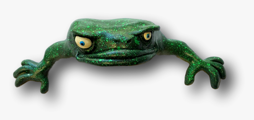 Pine Barrens Treefrog, HD Png Download