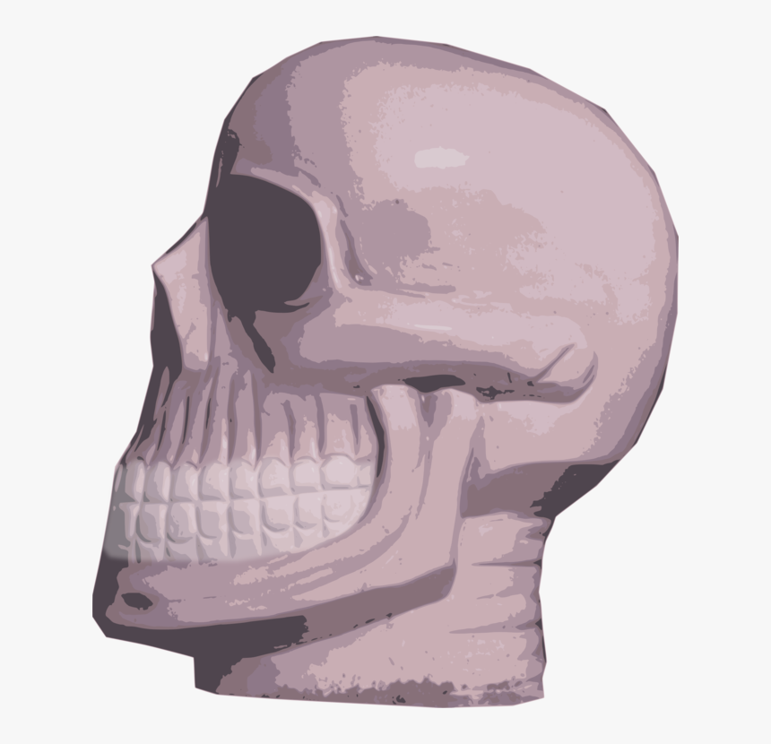 Head,skeleton,skull - Skull, HD Png Download