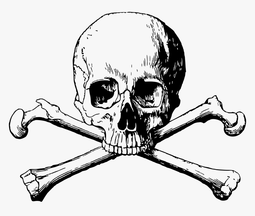 Skull And Bones Png Transparent, Png Download