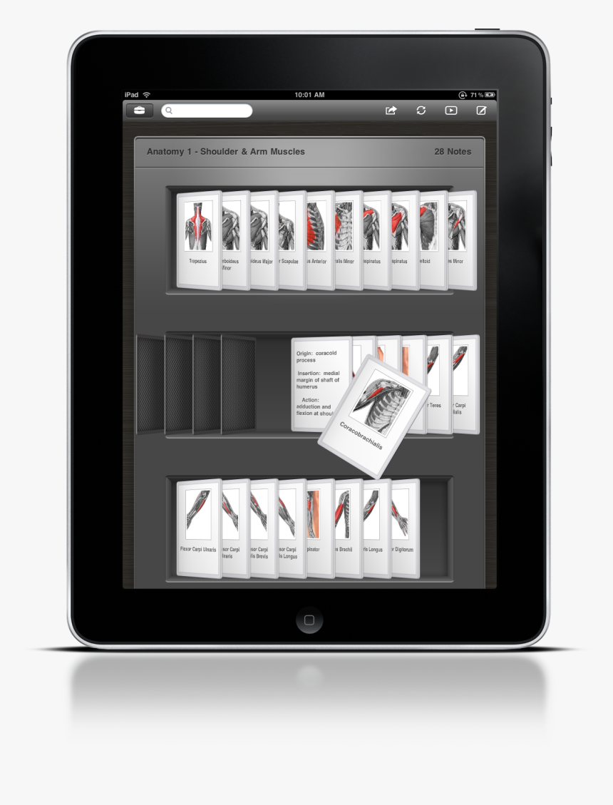 Laptop Multimedia Kwiqapps Subscribe Computer Learning - Ipad, HD Png Download