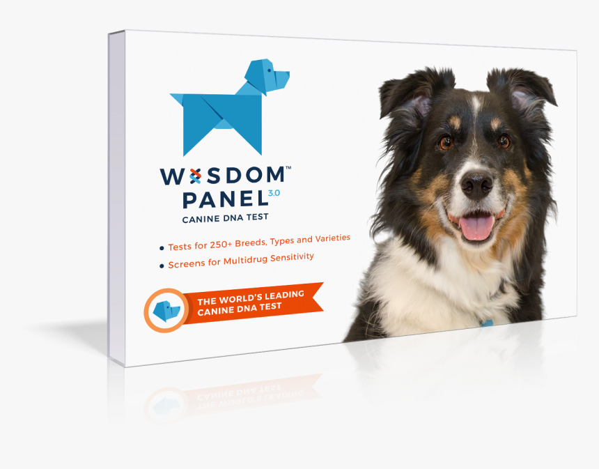 Dog Dna Test Kit, HD Png Download