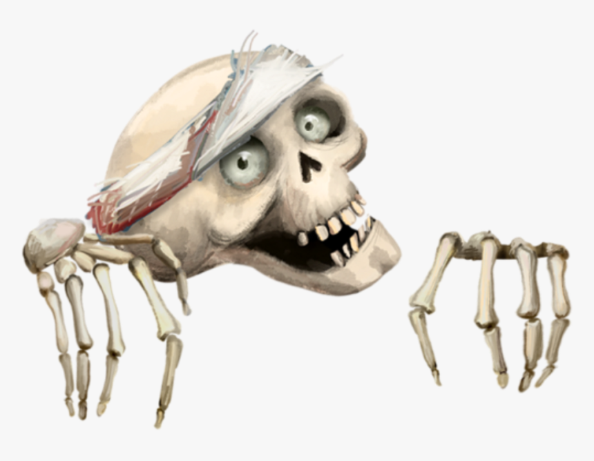 Skeleton Skull Hands Halloween Freetoedit - Skull, HD Png Download