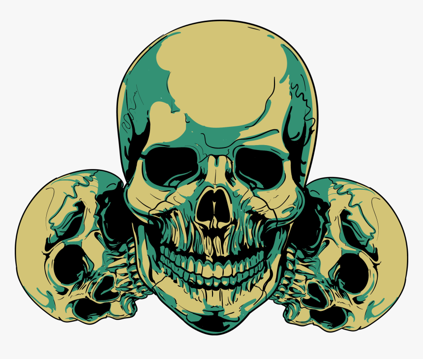 Skull Clip Art - Human Skull In Half, HD Png Download