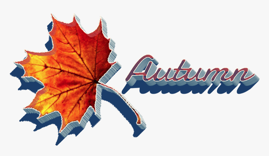 Autumn Leaves Png Clipart - Autumn, Transparent Png