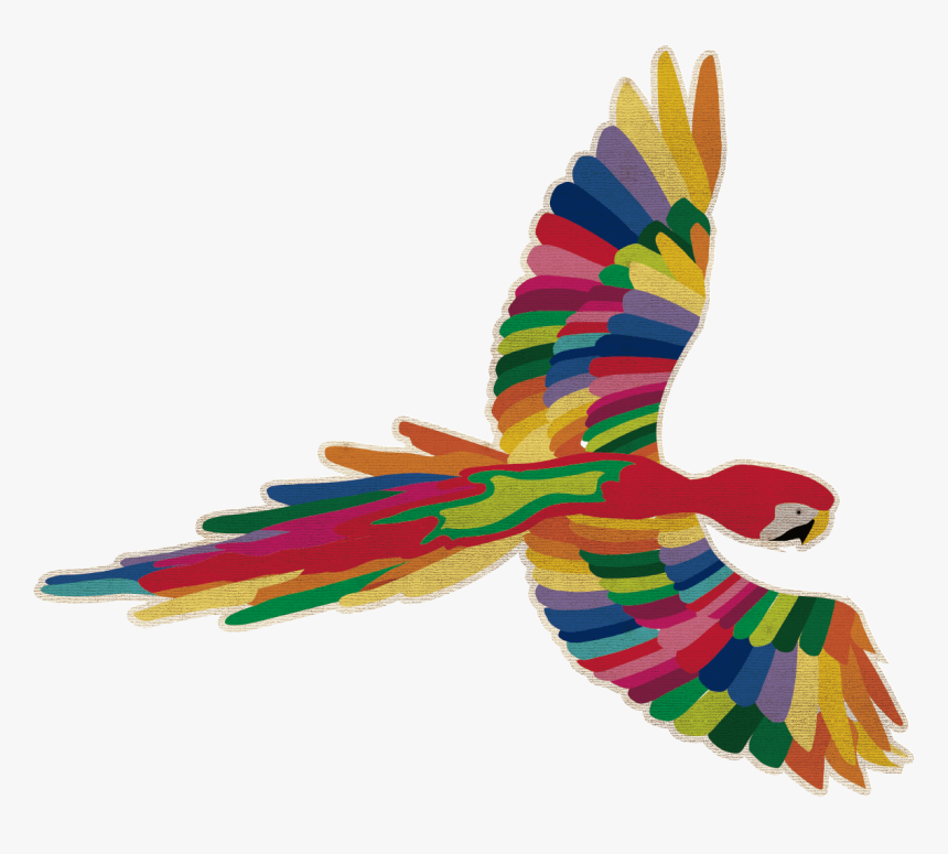Macaw, HD Png Download