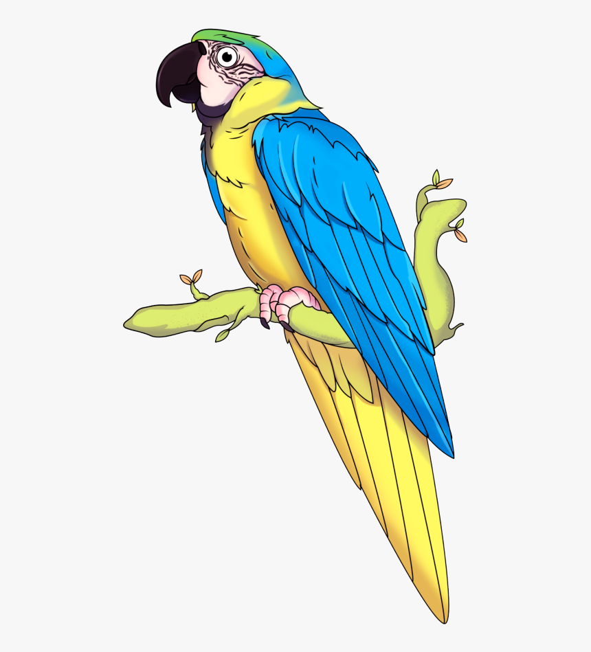 Guacamaya - Budgie, HD Png Download