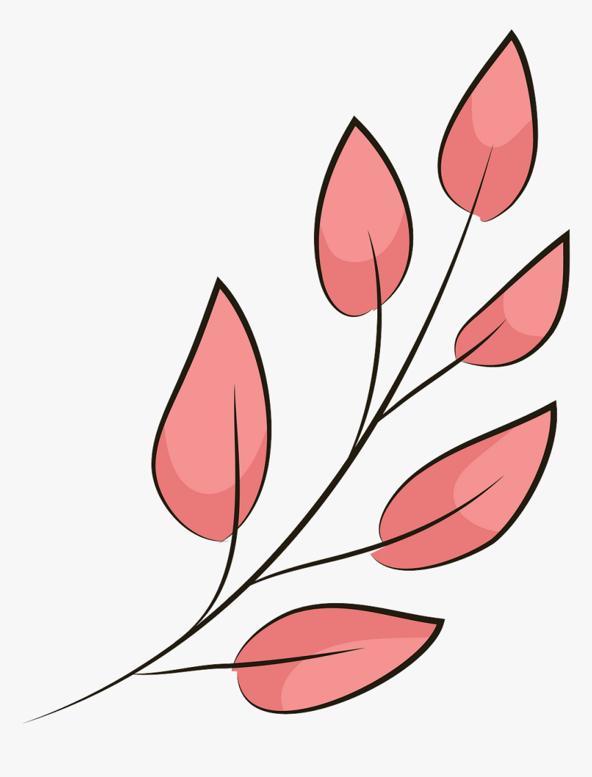 Lady Tulip, HD Png Download