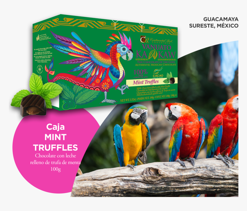 Transparent Guacamaya Png - Macaw, Png Download