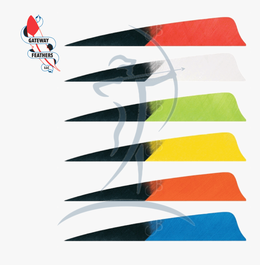 Gateway Hann Bun Kuro Turkey Feathers, HD Png Download