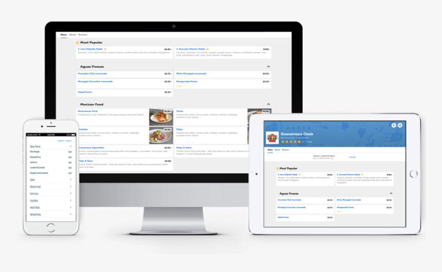 Guacamaya Order Online - Computer Icon, HD Png Download