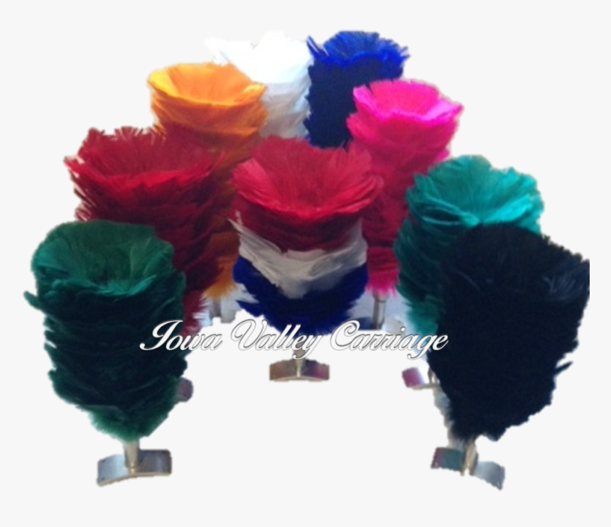 Rose, HD Png Download