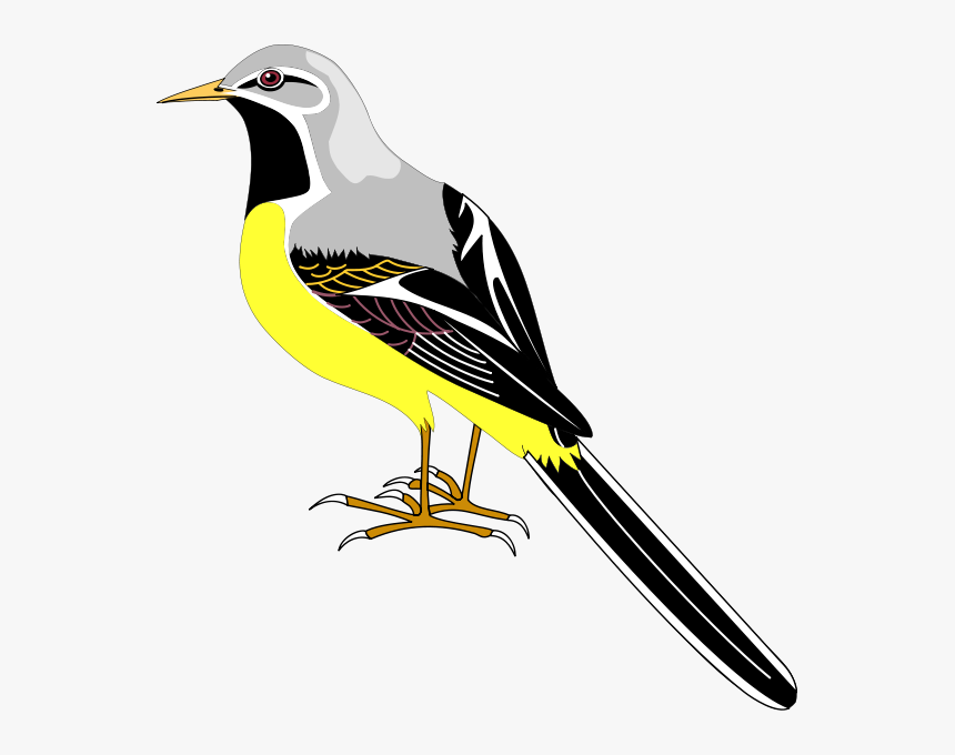 Bird 23 Png Clip Arts - Cartoon Sparrows Clipart, Transparent Png