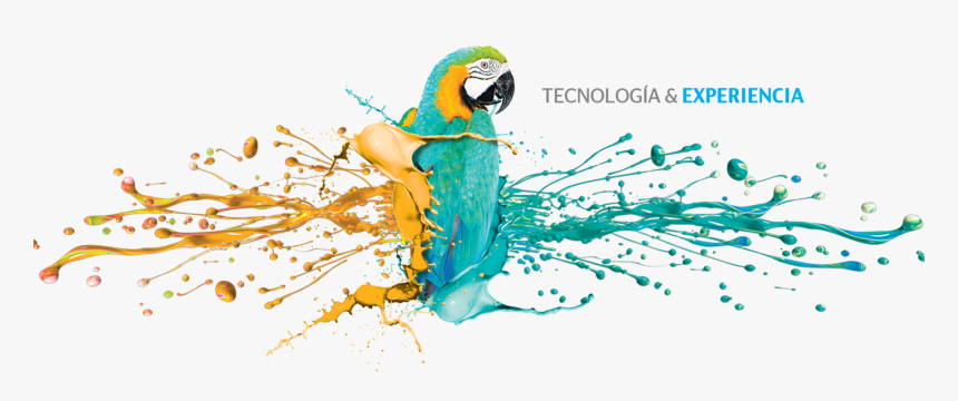 Transparent Guacamaya Png - Editorial Sur Guatemala, Png Download