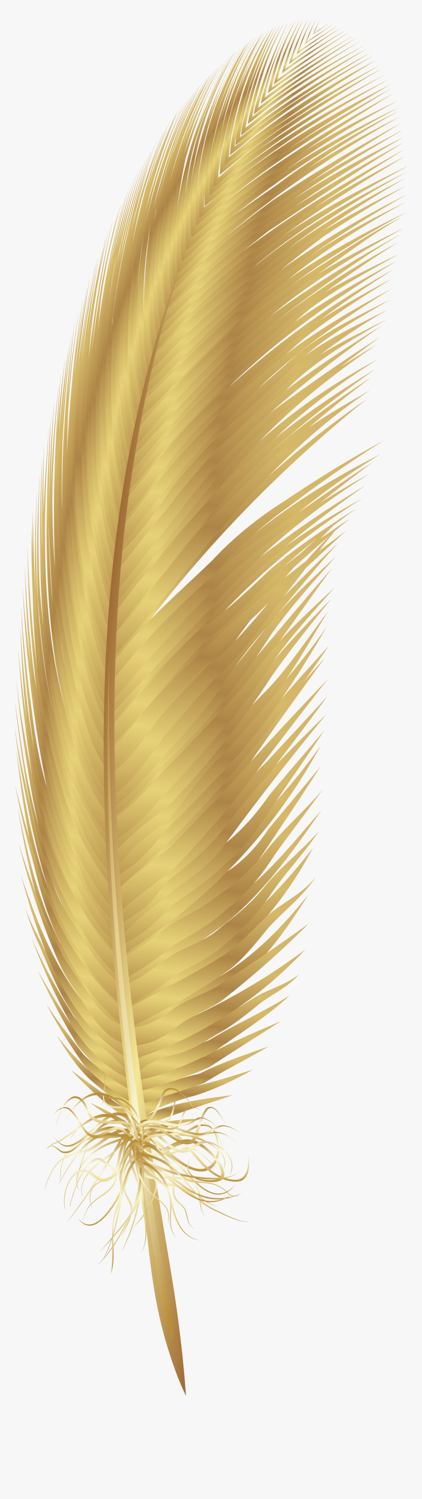 Feather Clipart Png - Gold Feather Png, Transparent Png