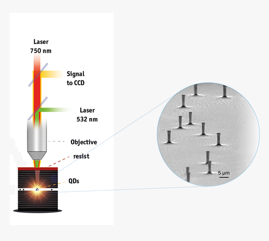 Graphic Design, HD Png Download