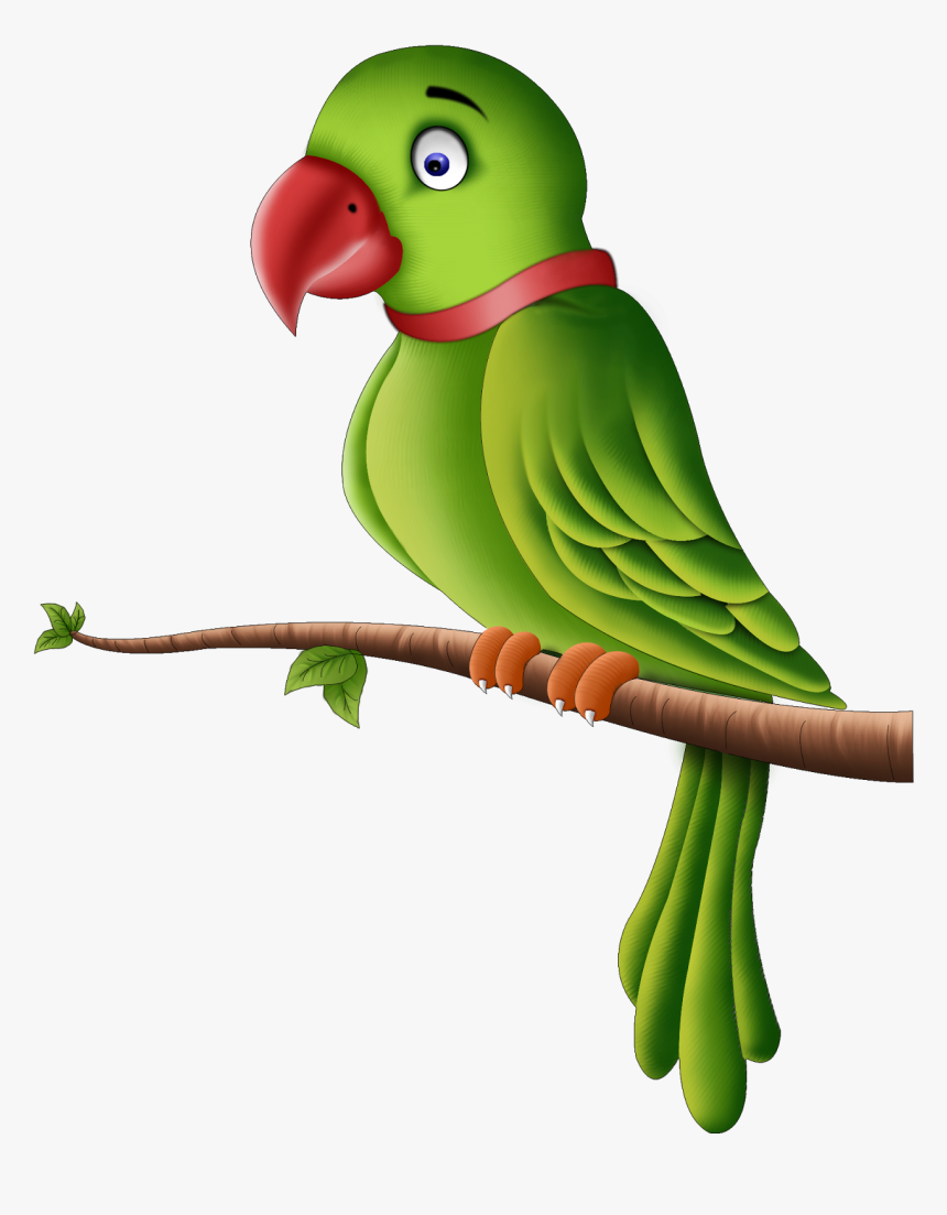 Little Known Facts About Parrots Png All - Parrot Png, Transparent Png