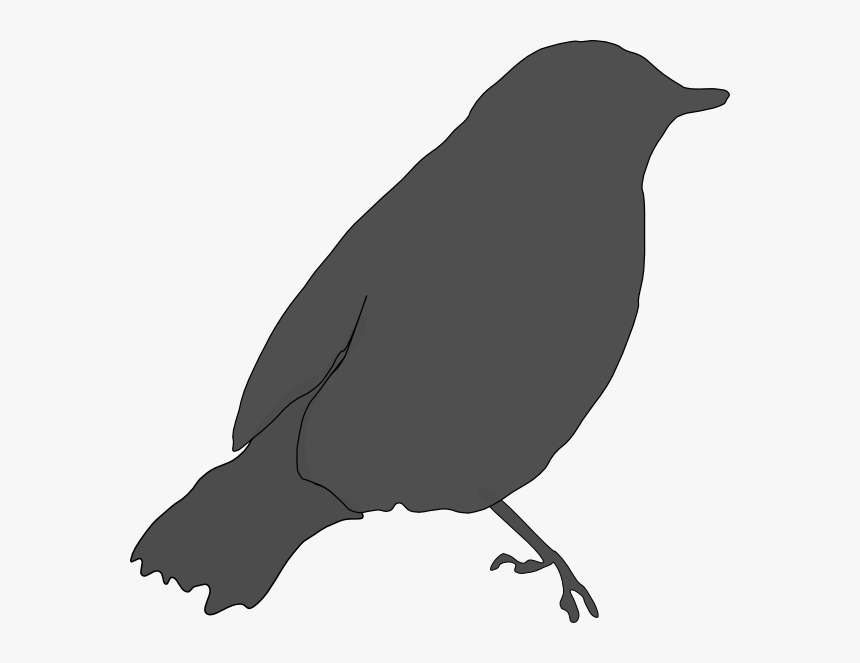 Gray Bird Svg Clip Arts - Birds Got Their Colours Story, HD Png Download