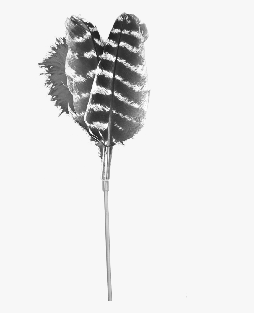 Monochrome, HD Png Download