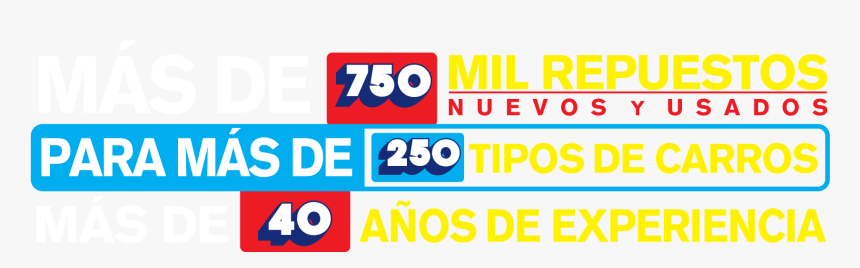 Transparent Guacamaya Png - Graphic Design, Png Download