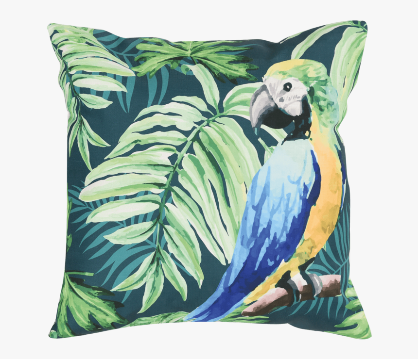 Funda De Cojín Guacamaya - Cushion, HD Png Download