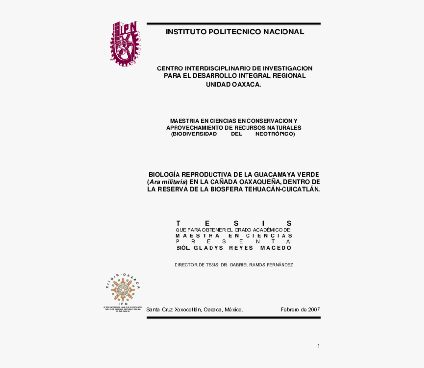 Screenshot, HD Png Download