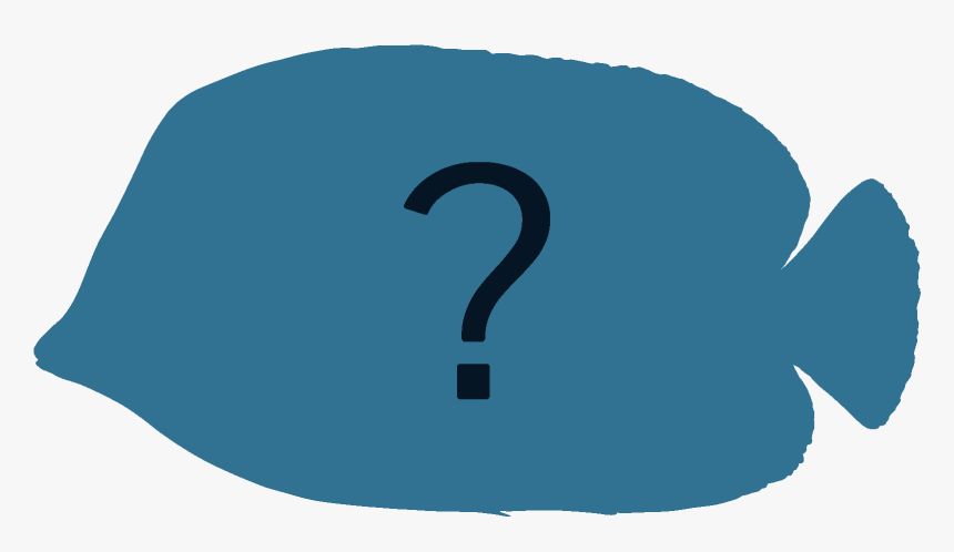 Clip Art, HD Png Download