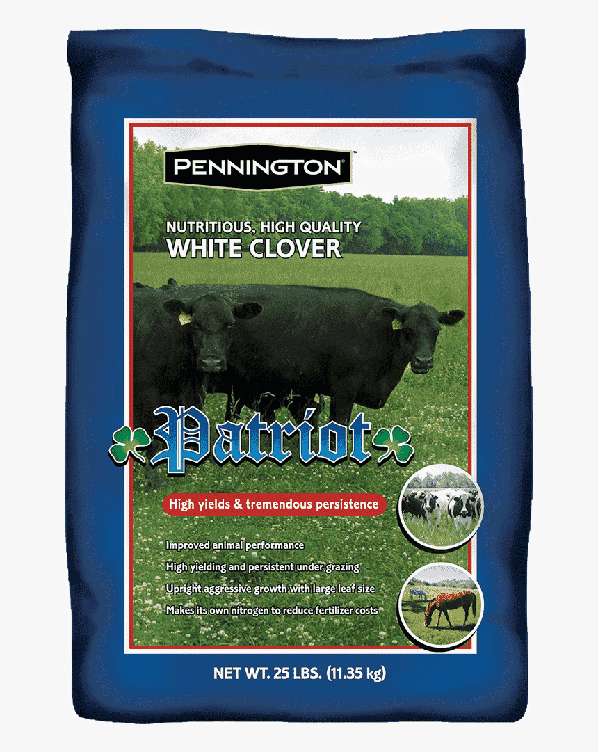 Patriot Clover Seed - Bison, HD Png Download