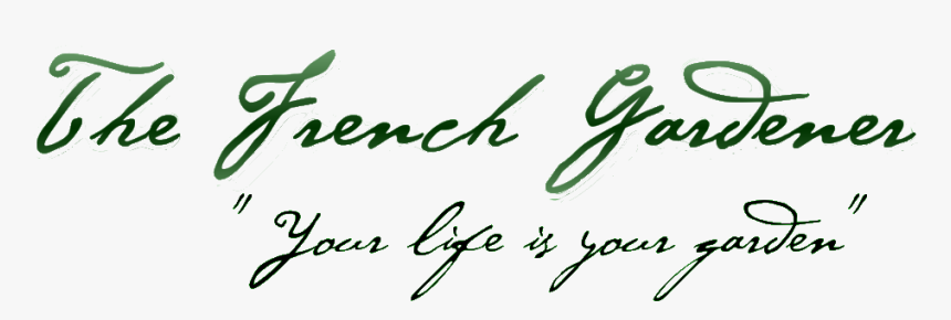 Logo - Calligraphy, HD Png Download