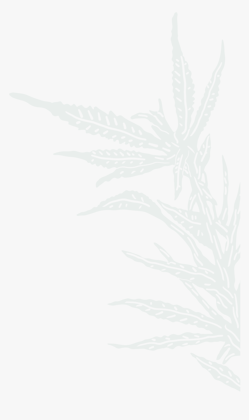 Drawing, HD Png Download