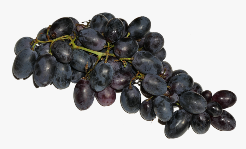 Grapes, Blue, Fruit, Fruits, Eat, Food, Delicious, - Grapes Fruits Png, Transparent Png