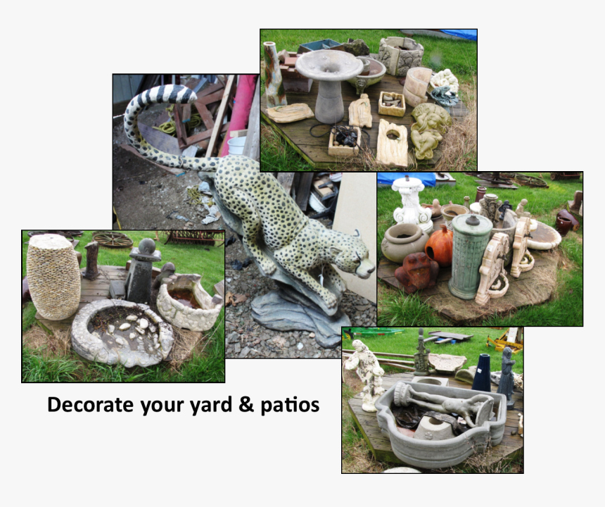 Cheetah, HD Png Download