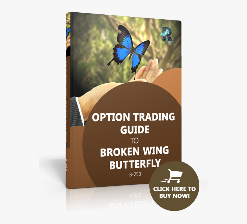 Polyommatus, HD Png Download