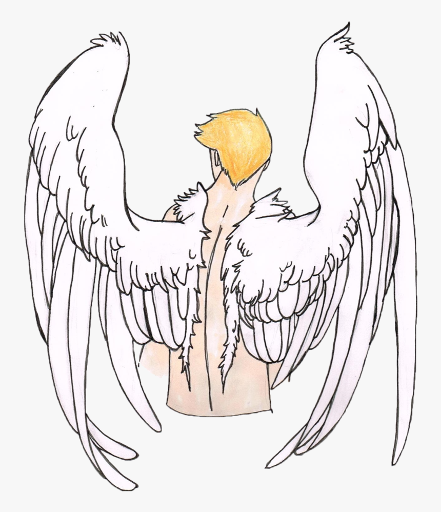 Sketch, HD Png Download