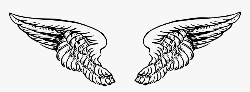 Onlinelabels Clip Art - Angel Wings Vector Png, Transparent Png