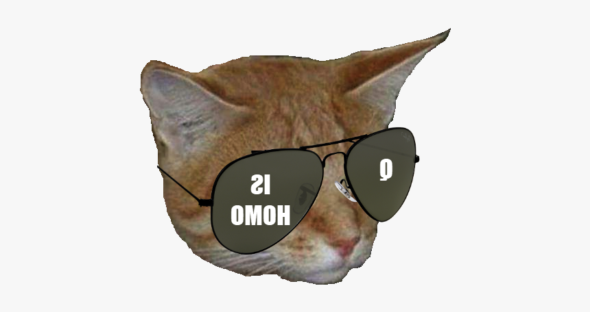 Cat Yawns, HD Png Download