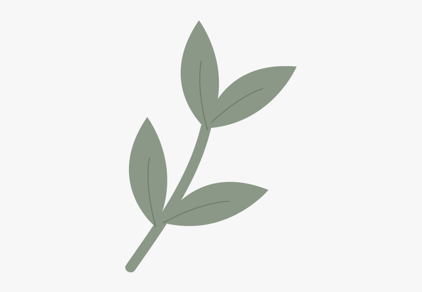 Branch-01 - Illustration, HD Png Download