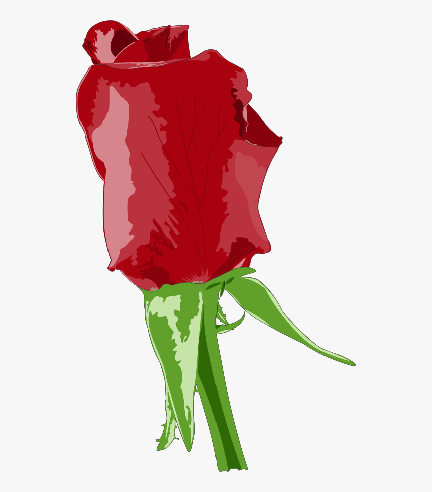 Wind Rose Compas Clipart, Vector Clip Art Online, Royalty - Big Size Red Rose, HD Png Download