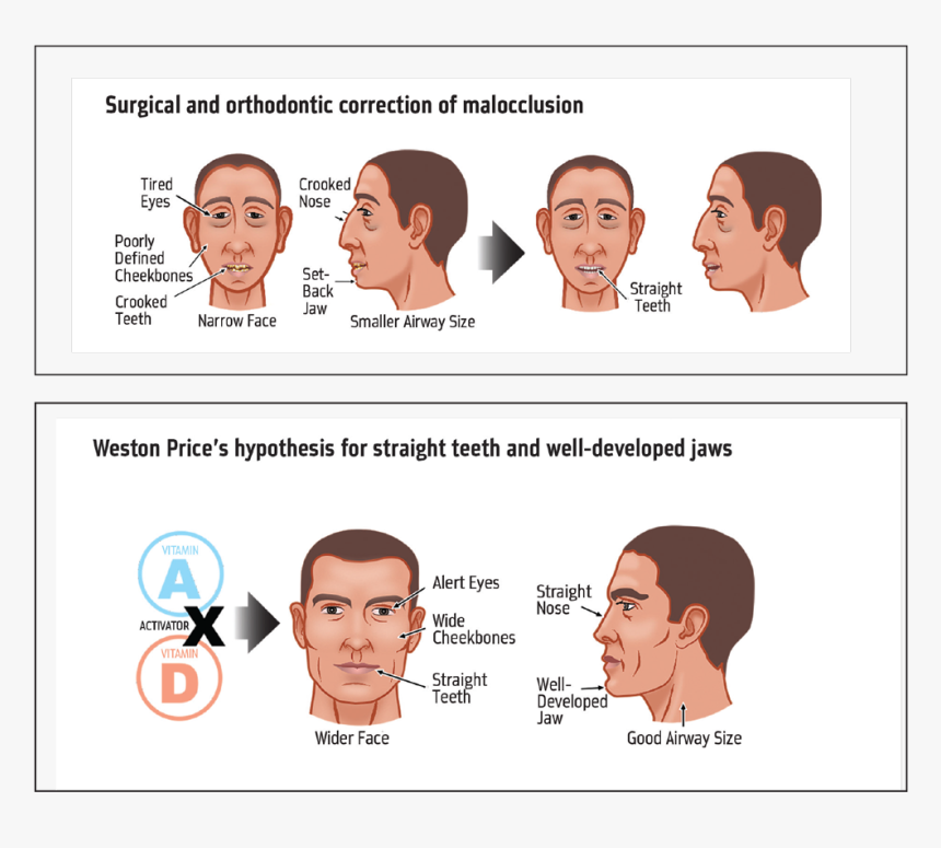 Orthotown Magazine, HD Png Download