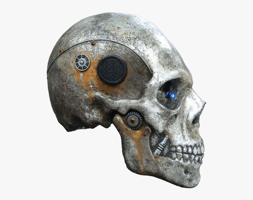 Skull Png Image - Skeleton Head Cb Png, Transparent Png