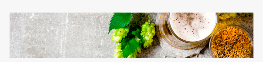 Beer2, HD Png Download