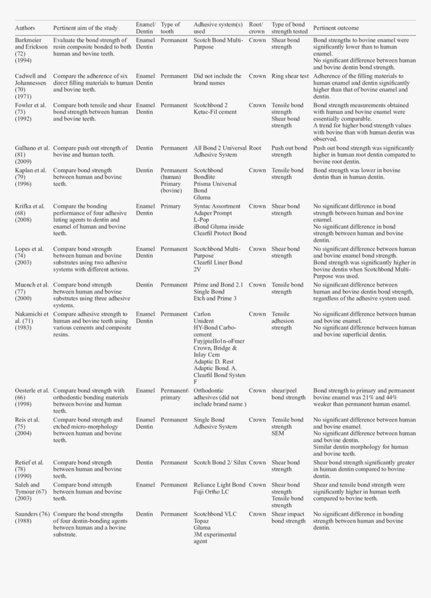 Document, HD Png Download