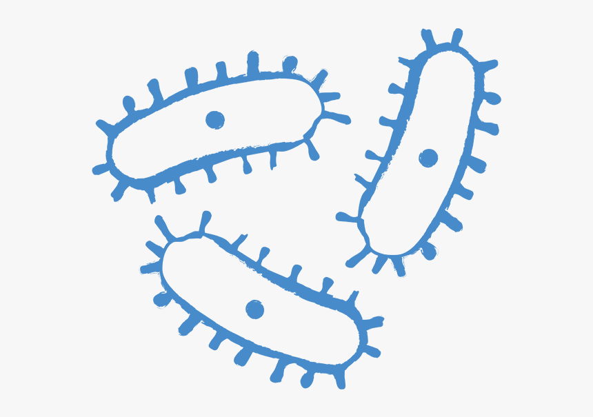 Kisses - All Seeing Eye, HD Png Download