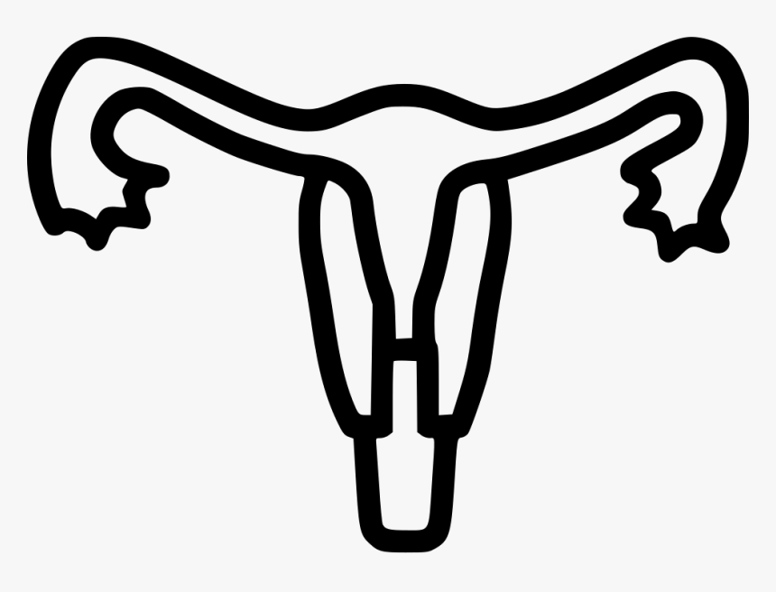 Uterus Human Body Part Medical Tube Uterine - Uterus Clip Art Png, Transparent Png