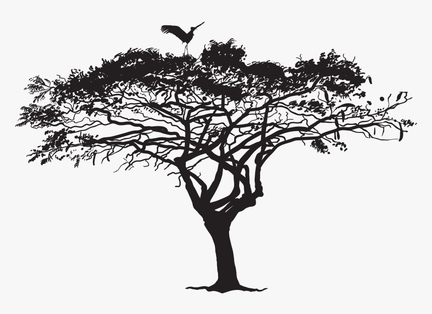 Tree Silhouette Photography - Tree With Bird Silhouette Png, Transparent Png