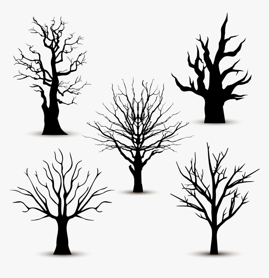 Tree Silhouette Euclidean Vector - Leafless Tree Vector, HD Png Download